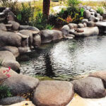 Natural rock pool surrounded by plants.